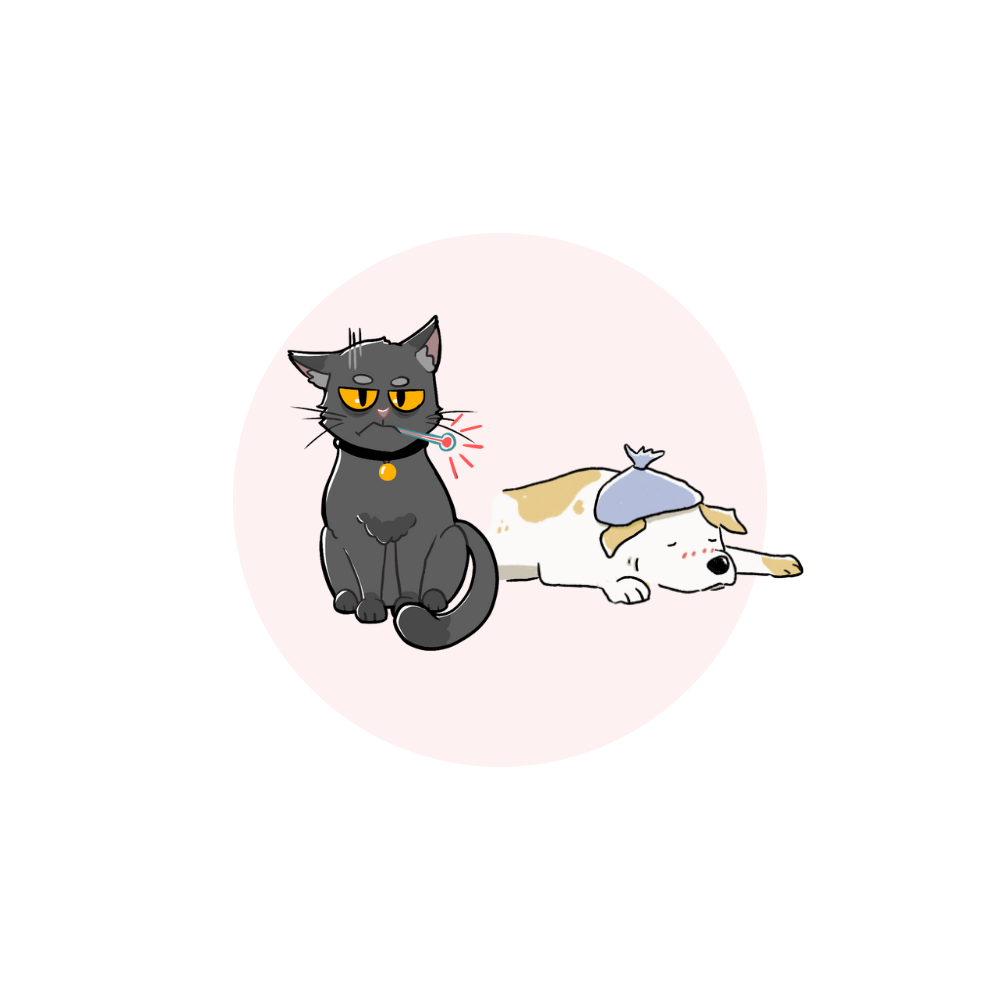 Design_ohne_Titel.png