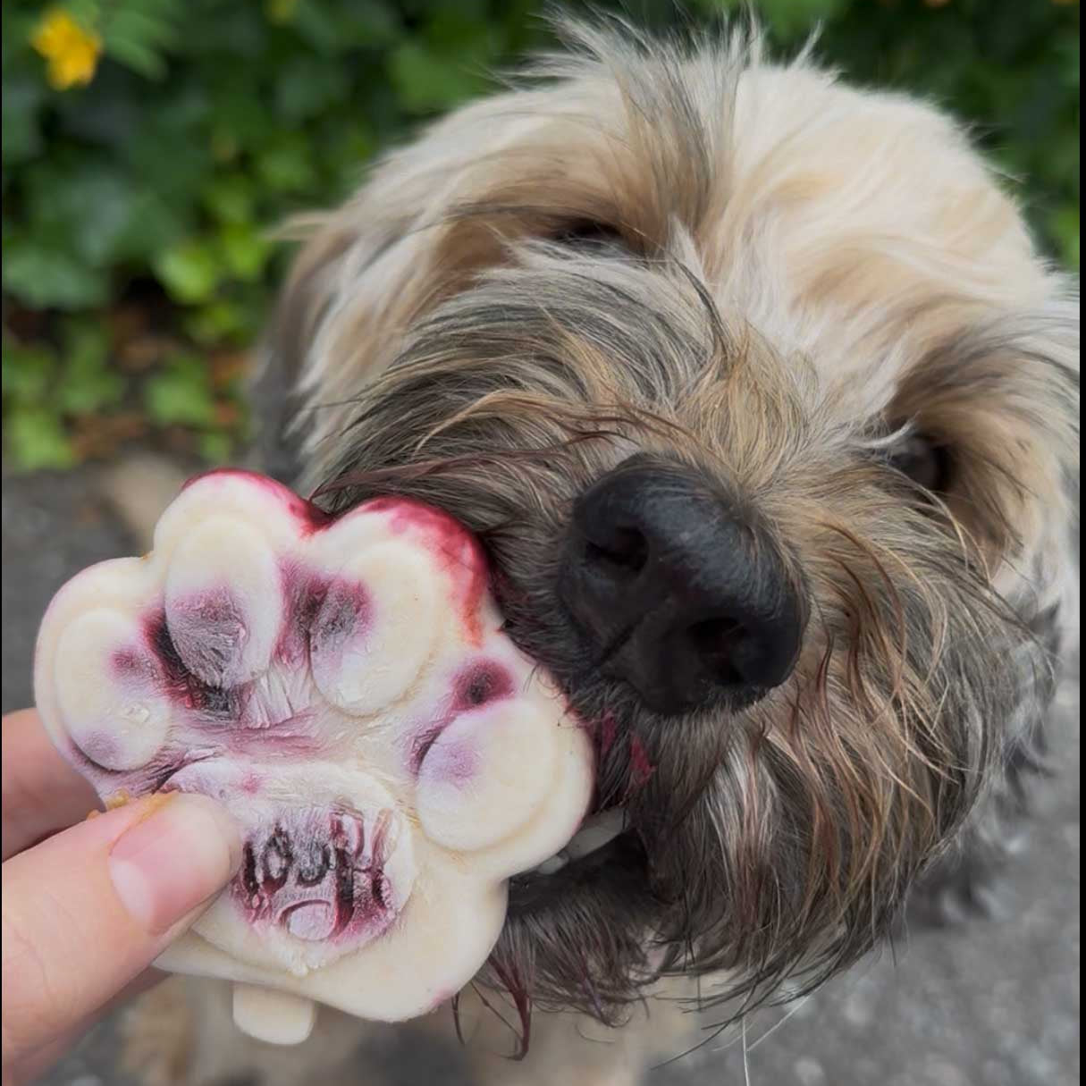 Sommer, Sonne, Schleckspass!