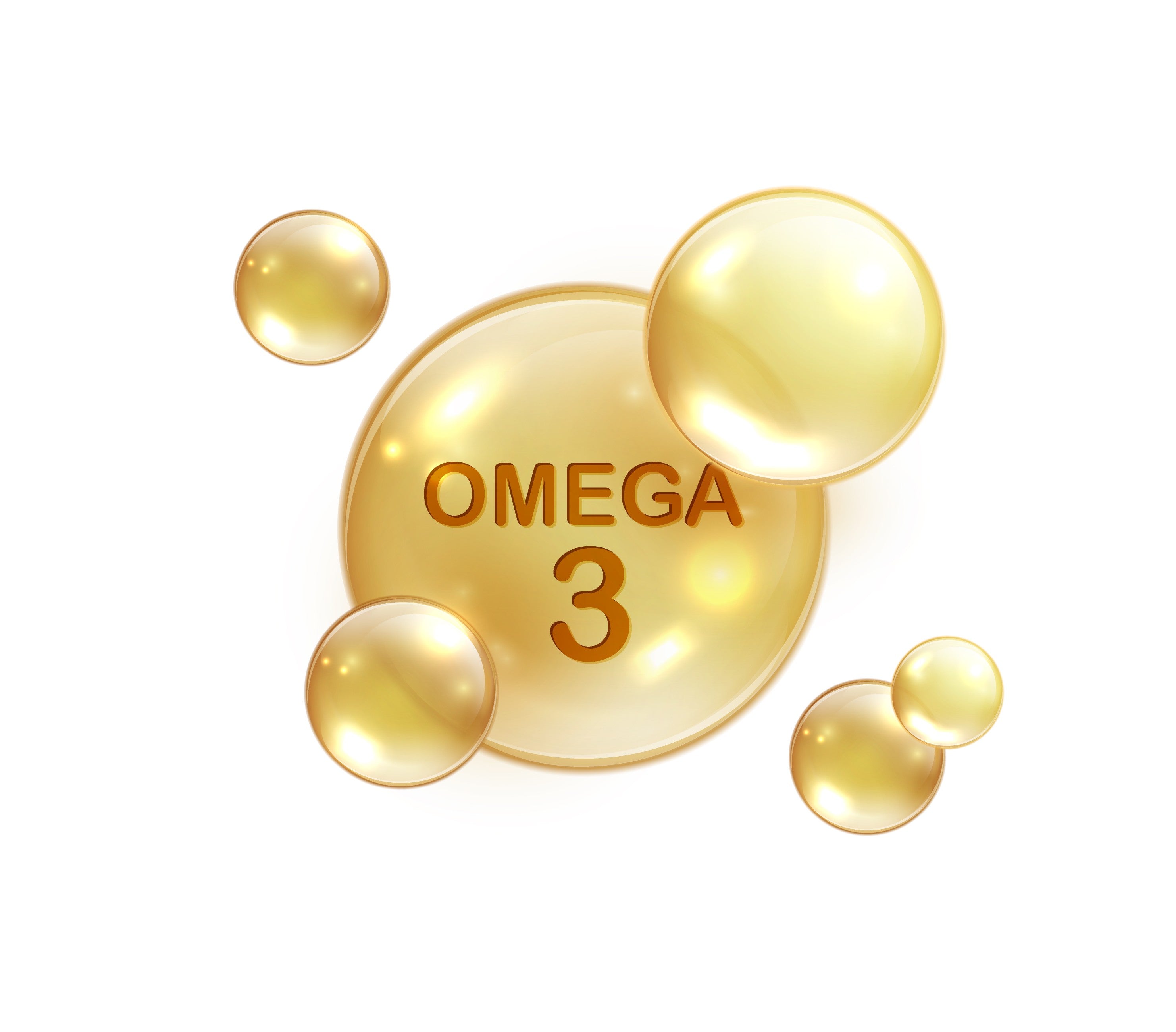 Omega-3 der Schlüssel zur Hundegesundheit