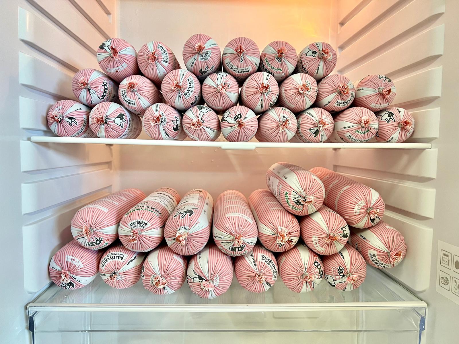 Von der Tiefkühltruhe in den Napf – der richtige Umgang mit rohem Fleisch