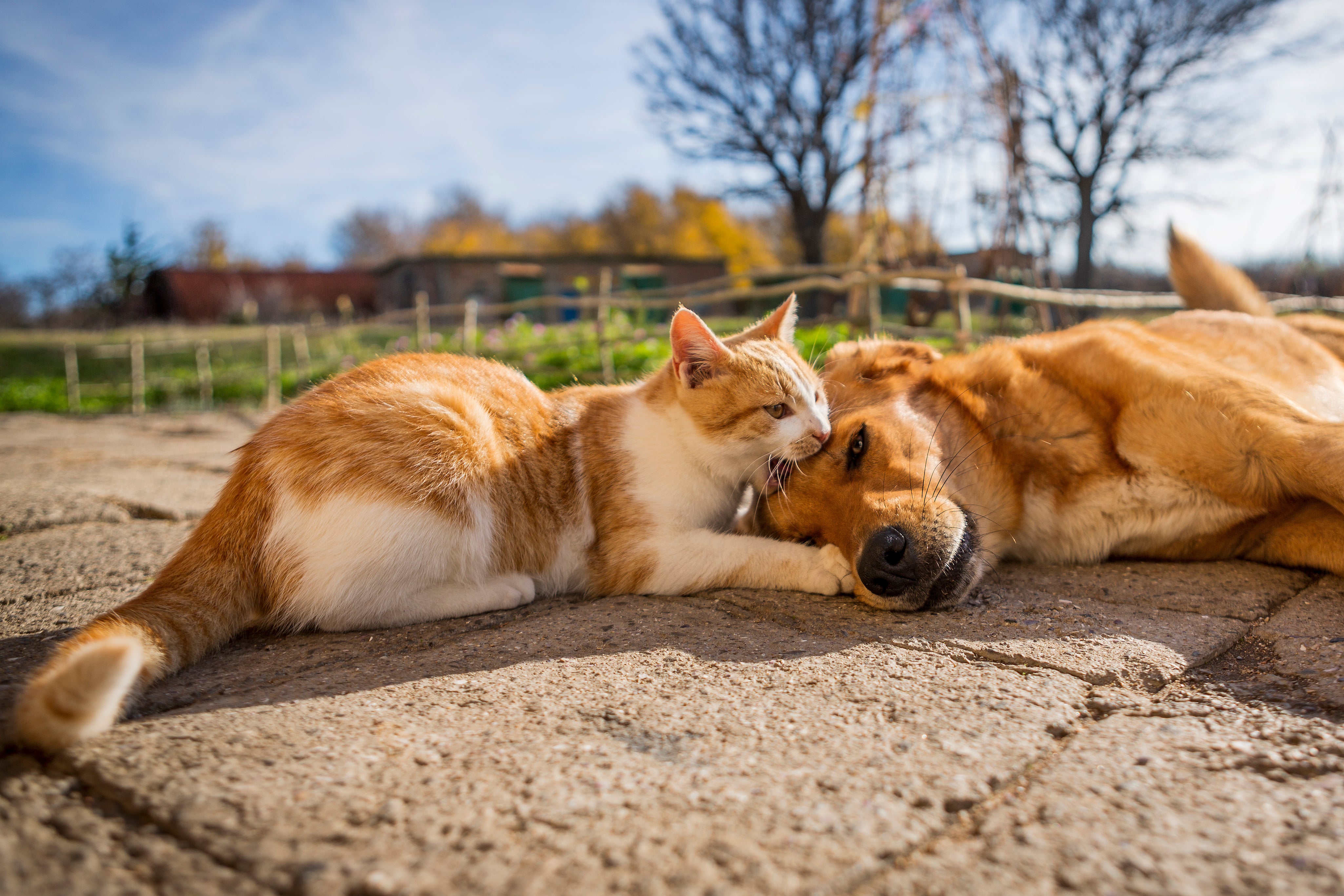 AdobeStock_310190256.jpg