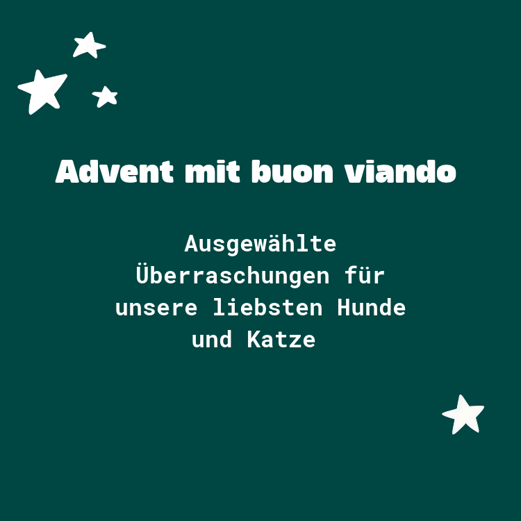 Advents_Special-2.png